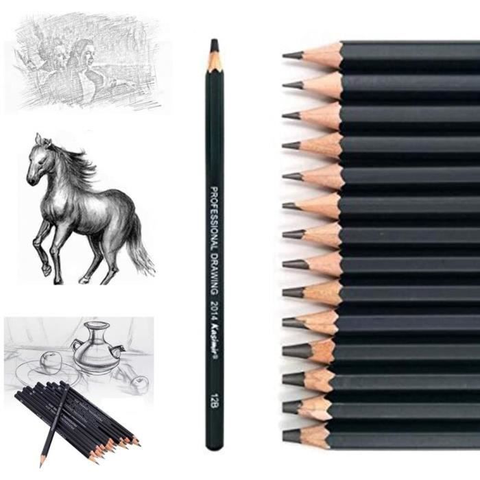 Crayon dombrage débutants Crayons de dessin graphite de qualité pour croquis en fer dur 12 pièces professionnels 3H 2H H HB B B 2B 3B 4B 5B 6B 8B 10B Pour enfants et adultes artistes 