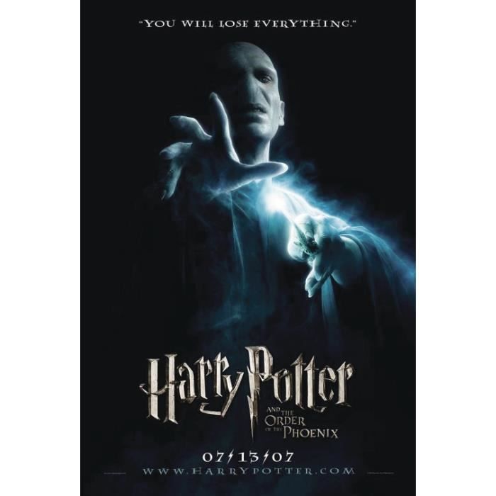 Harry Potter Et L Ordre Du Phoenix Achat Vente Pas Cher