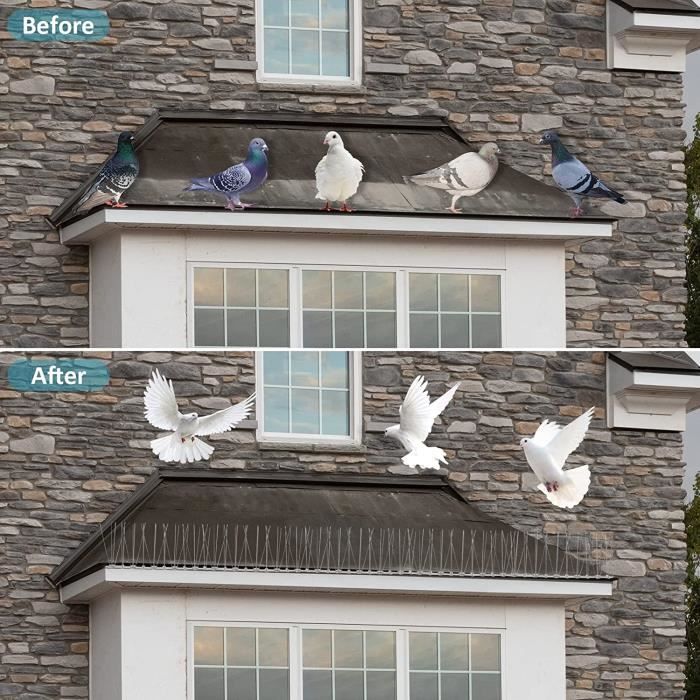 Flexowire Pigeons anti-pigeons 3 m (12 éléments de 25 cm) avec