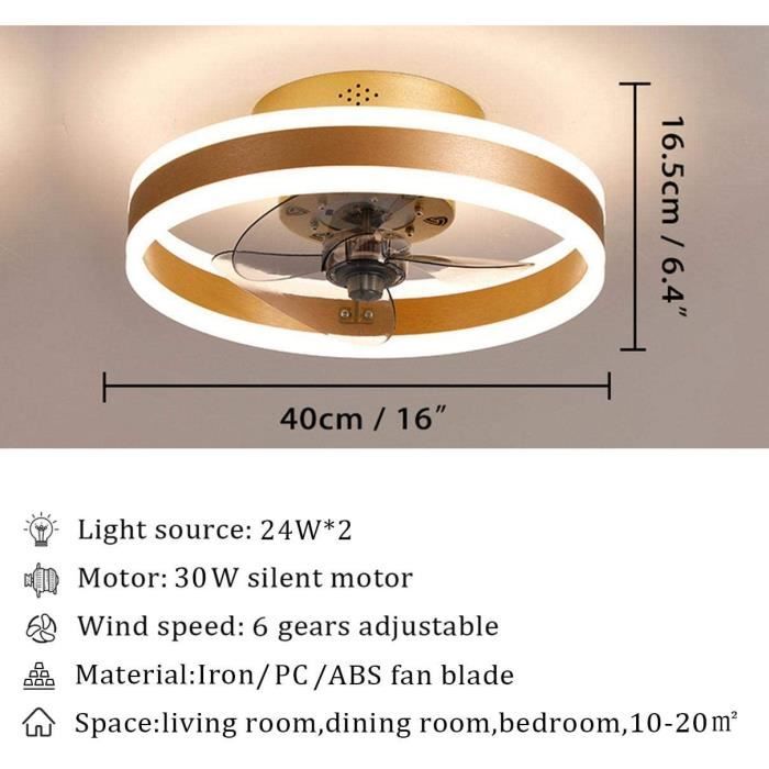 Ganeed Ventilateur Plafond Silencieux,30W Plafonnier Ventilateur De