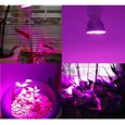 30W 40LED E27 Lampe de croissance pour plante, Lampe horticole led croissance floraison, Ampoule led croissance 5730SMD AC 85-265V-3
