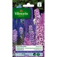 VILMORIN Pied d'Alouette delphinium vivace varié-0