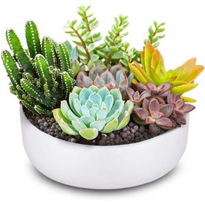 CACHE-POT Pot De Fleurs Rond En Céramique De 15,2 Cm - Blanc