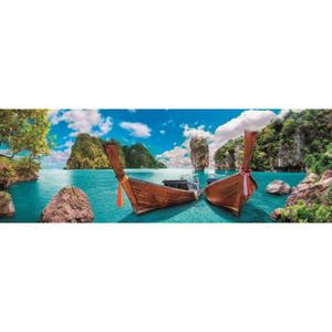 PUZZLE Puzzle Panorama Adulte 1000 Pieces Paysage Coin Pa