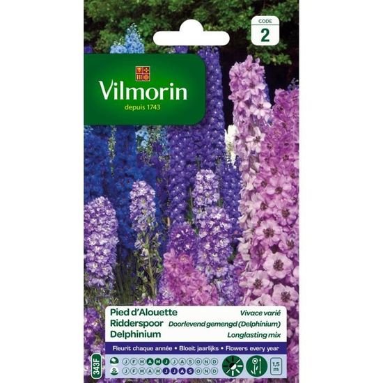 VILMORIN Pied d'Alouette delphinium vivace varié
