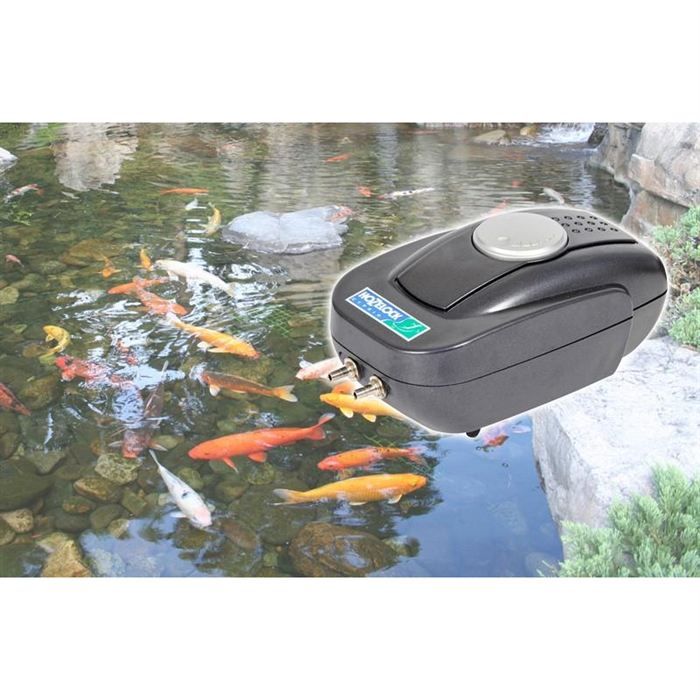 Pompe à air pour bassin a poisson