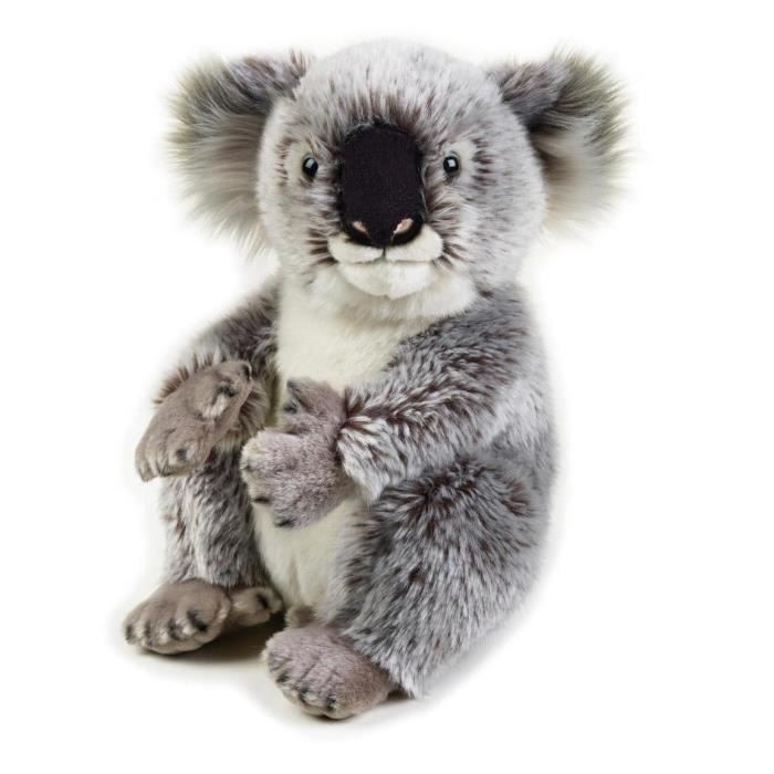 National Geographic koala junior 26 cm en peluche gris