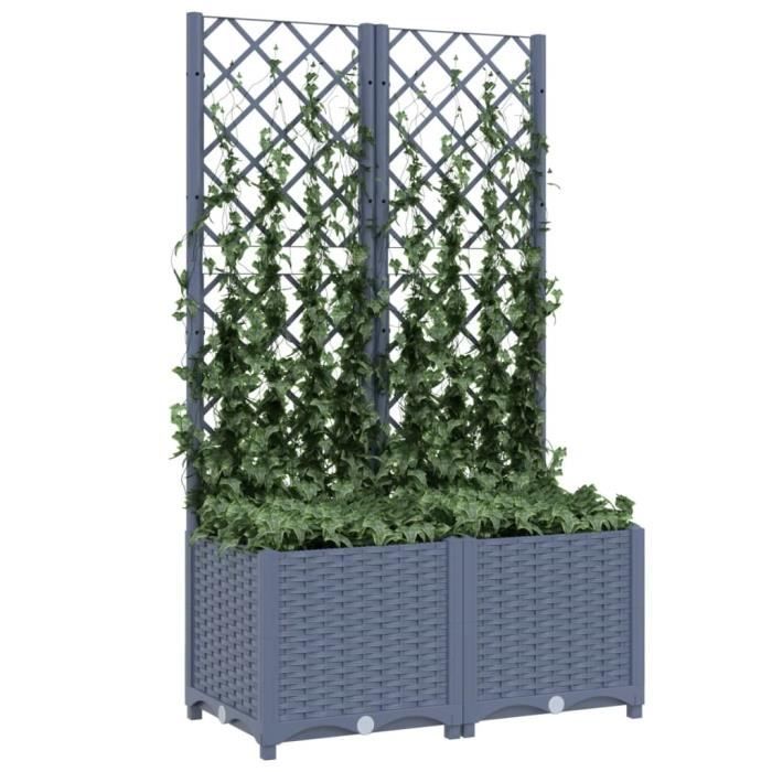 Jardinière avec treillis - AKOZON - Gris foncé - 80x40x136 cm - PP résistant aux intempéries