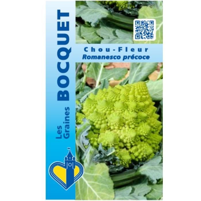 Graine Semence Chou Fleur Vert Romanesco Precoce Cdiscount Jardin