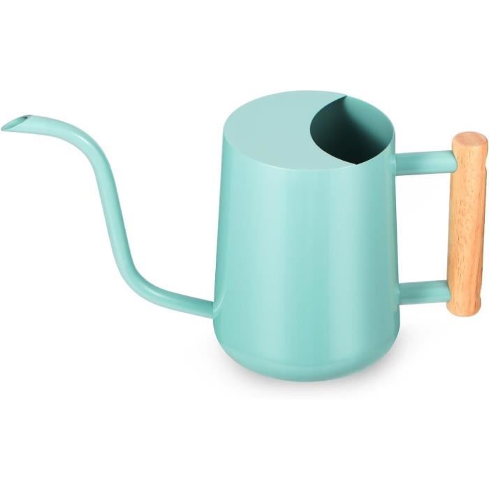 Arrosoir En Métal Maison Plante Arrosoir Arrosoir à Fleurs Ergonomique