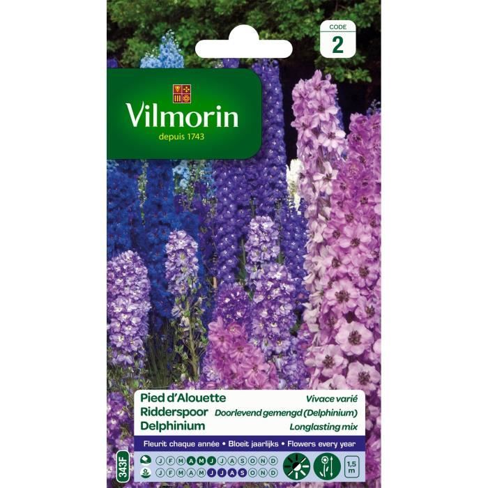 Pied d'Alouette Delphinium Vivace Varié - VILMORIN - Graines de Fleurs - Rose - Eté - Massif