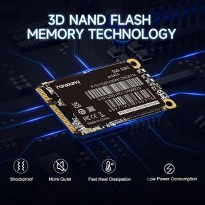 Disque SSD mSATA 240/256 Go interne