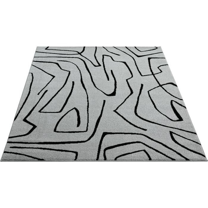 Tapis Moderne Extra Doux - Sound - Beige - 160x220 cm - Rectangle -  Intérieur - The carpet - Cdiscount Maison