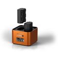 Hahnel ProCube2 Sony, Orange, LCD, Auto-Indoor battery charger, AA, Lithium-Ion (Li-Ion), Hybrides nickel-métal (NiMH)-0