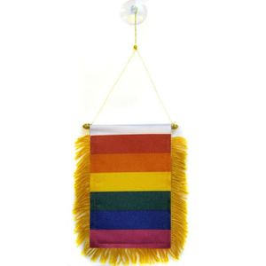GUIRLANDE NON LUMINEUSE Fanion Arc-en-Ciel 15x10cm - gay - Rainbow flag Sp