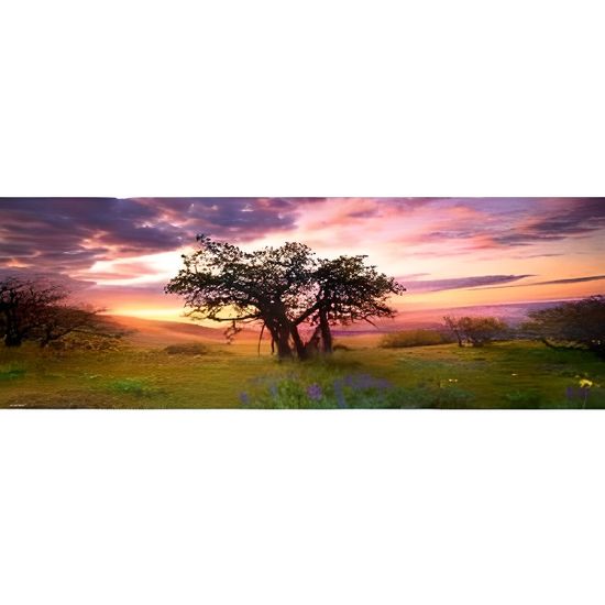 Puzzle paysage et nature MERCIER Oak Tree 2000 pièces