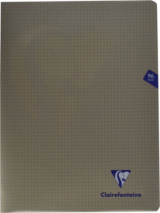 Clairefontaine Lot De 2 Cahiers Mimesys A4 – 96 Pages Petits Carreaux, 90g/m² – Polypro Transparent, Couleurs Aléatoires – Fabrication Française