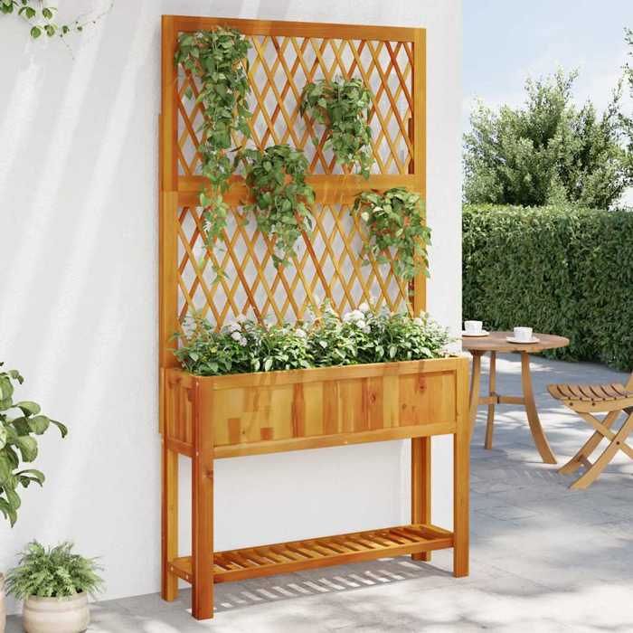 vidaXL Jardinière avec treillis et étagère bois massif dacacia 364899