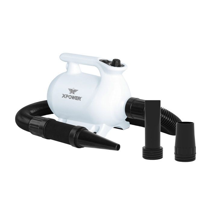 Meilleurs prix pour Séchoir portable pour animaux XPower B-123 2 réglages de chaleur réduction du bruit trois buses différentes séchage des animaux