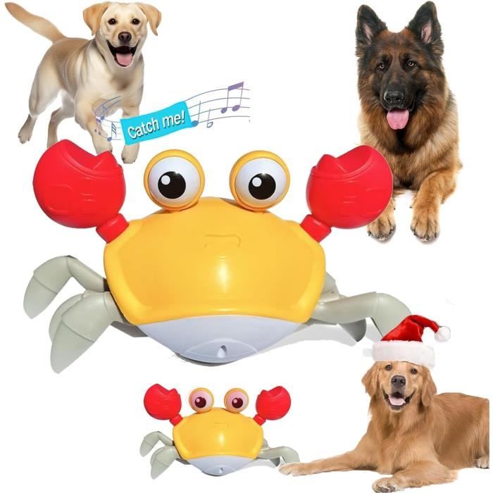 VTech Pat' Patrouille – Chase Interactif Mission Sécurité – Figurine 16 Cm Avec 4 Accessoires – Plus De 100 Sons – Dès 3 Ans – Version Française