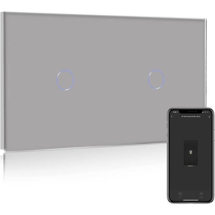 Interrupteur Connecté WiFi Tactile Gris - Va-et-vient Sans Fil, 2 Gang 1 Voie, 1000W