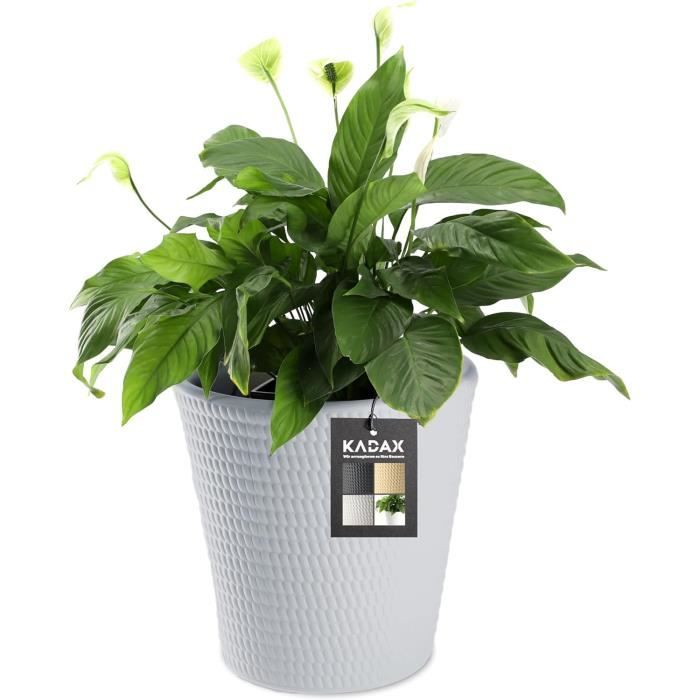 Petit Pot De Fleur Plastique 12cm - Léger, Résistant, Pour Semis Et Plantes Intérieur