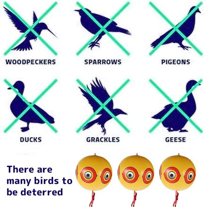 3 Pièces Ballons Faire Peur aux Oiseaux, Ballons Effrayer Oiseaux, Ballon Anti-Oiseaux avec Yeux réfléchissants et Rayures crépitantes, Effrayer Oiseaux Moineau, Pigeon, Pic