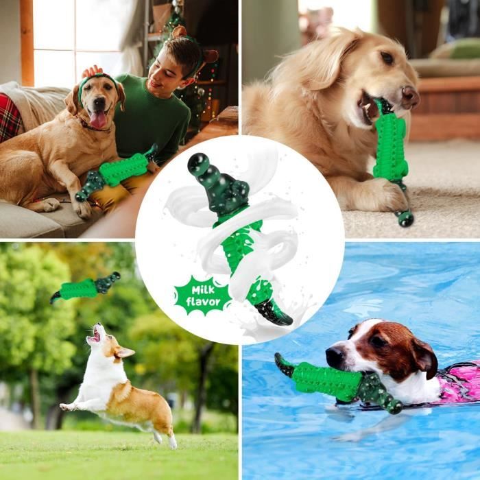 Jouet solide pour grand chien online