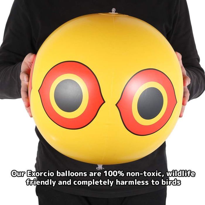 MengQiLe 3pcs birdless Balloon Set Driver Balloon Rampant Yeux Ballons effrayer Les Oiseaux, effrayer Les Oiseaux Moineau, Pigeon, pic
