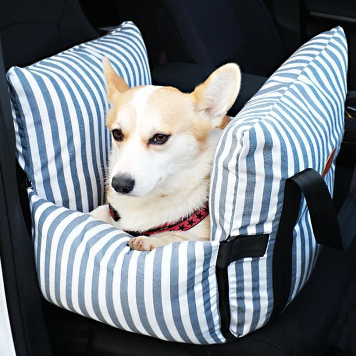 Dragonne de sécurité pour poussette ou fauteuil roulant pour chien (Noir) 1  pièce : : Bébé et Puériculture