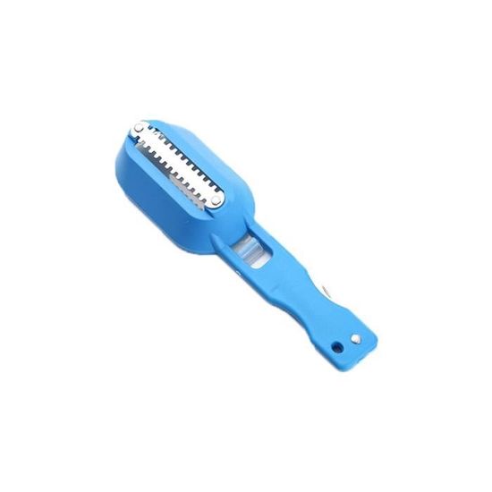 Brosse à écailler Le Poisson - Outil De Cuisine Neuf, Fabriqué En France