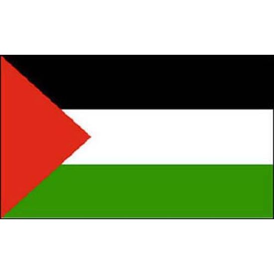la palestine drapeau