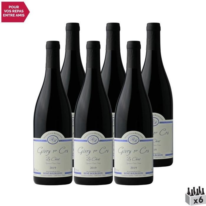 Givry 1er Cru En Choué Rouge 2019 - Lot de 6x75cl - Domaine René Bourgeon - Vin AOC Rouge de Bourgogne - Cépage Pinot Noir