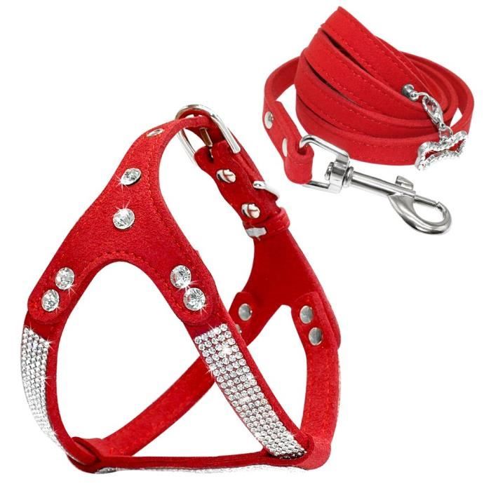 Diamond harness  Harnais chien, Bouledogue français, Chien