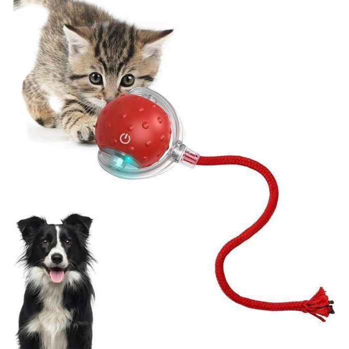 Meilleurs prix pour Jouet interactif pour Chat Chien jouet interactif pour chien et chat, trois modes réglables avec fonction de réveil,Rose