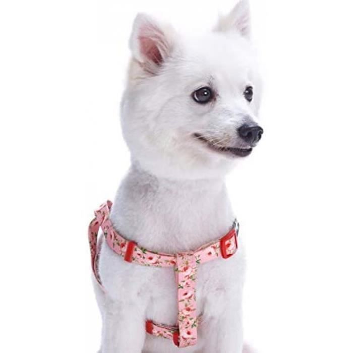 Harnais Tour De Poitrail 51 66cm Parfum Floral Printanier Rose Layette Reglable Harnais Pour Chien Collier Et Laisse Assortis Cdiscount