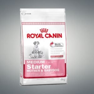 Croquettes pour chiot et chienne gestante/lactante - MEDIUM STARTER 4KG