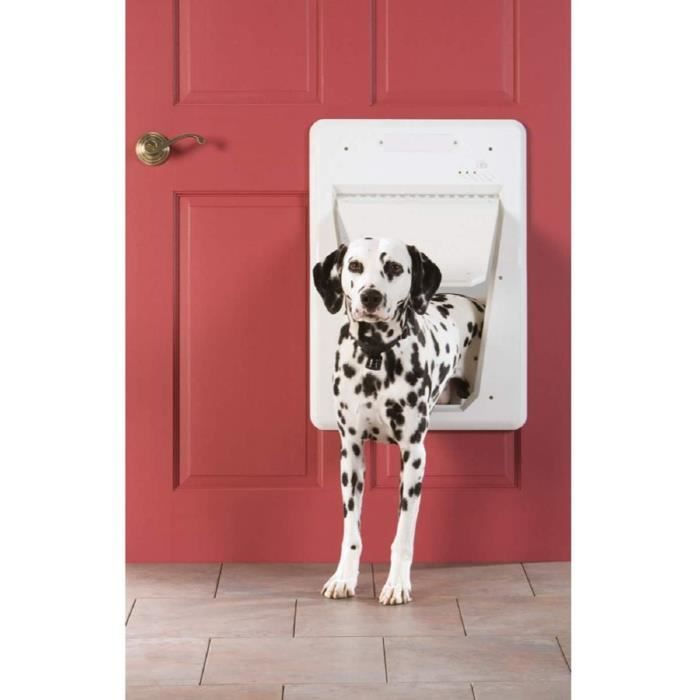 Petsafe Cle Electronique De Collier Supplementaire Smartkey Pour Chatiere Electronique Pour Chien Chat Petsafe Smartdo Cdiscount Animalerie Petsafe Cle Electronique De Collier Supplementaire Smartkey Pour Chatiere Electronique Pour Chien Chat Petsafe Smartdo Cdiscount Animalerie