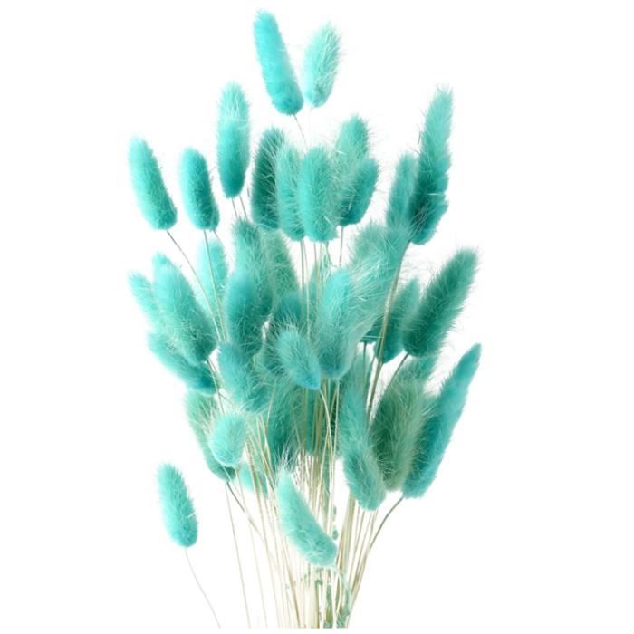 FENGCHUANG 50 Pièces Herbe de Queue de Lapin Séchée, Herbe De La Pampa Fleurs Séchées, Ne Se Fanent Jamais Fleur Sechees pour Décoration de Maison, Mariage (Noir FENGCHUANG 50 Pièces Herbe de Queue de Lapin Séchée, Herbe De La Pampa Fleurs Séchées, Ne Se Fanent Jamais Fleur Sechees pour Décoration de Maison, Mariage (Noir