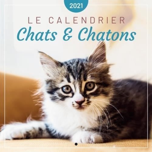 Le calendrier des Chats & Chatons. Edition 2021 - Cdiscount Maison