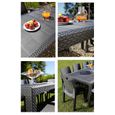 Table à manger outdoor Queen effet rotin - Anthracite - 220 x 90 x 72 cm-1