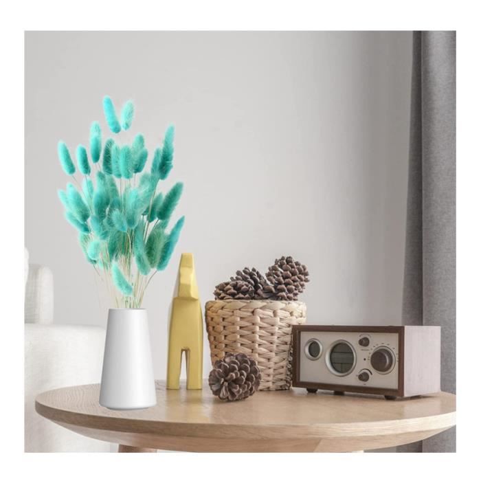 Herbe de Queue de Lapin Séchée, FENGCHUANG-Herbe De La Pampa Fleurs Séchées, 50 Pcs Ne Se Fanent Jamais Fleur Sechees (Bleu Tiffany) - Maison Herbe de Queue de Lapin Séchée, FENGCHUANG-Herbe De La Pampa Fleurs Séchées, 50 Pcs Ne Se Fanent Jamais Fleur Sechees (Bleu Tiffany) - Maison