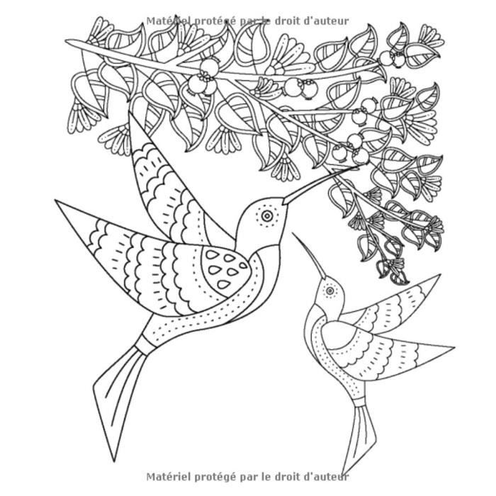 Mandala Folklo : Livre de coloriage anti-stress pour adulte