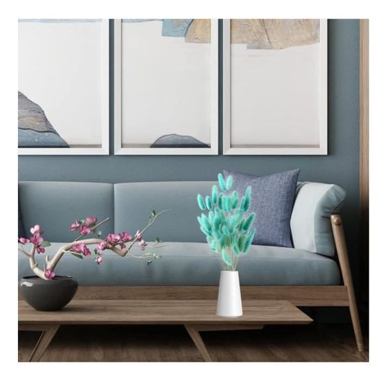 50 Pcs Herbe De Queue De Lapin Séchée Blanche - Fleurs Séchées Pampa Naturelles - Décoration Maison Mariage Durable - FENGCHUANG Fleurs Séchées Décoratives 50 Pcs Herbe De Queue De Lapin Séchée Blanche - Fleurs Séchées Pampa Naturelles - Décoration Maison Mariage Durable - FENGCHUANG Fleurs Séchées Décoratives