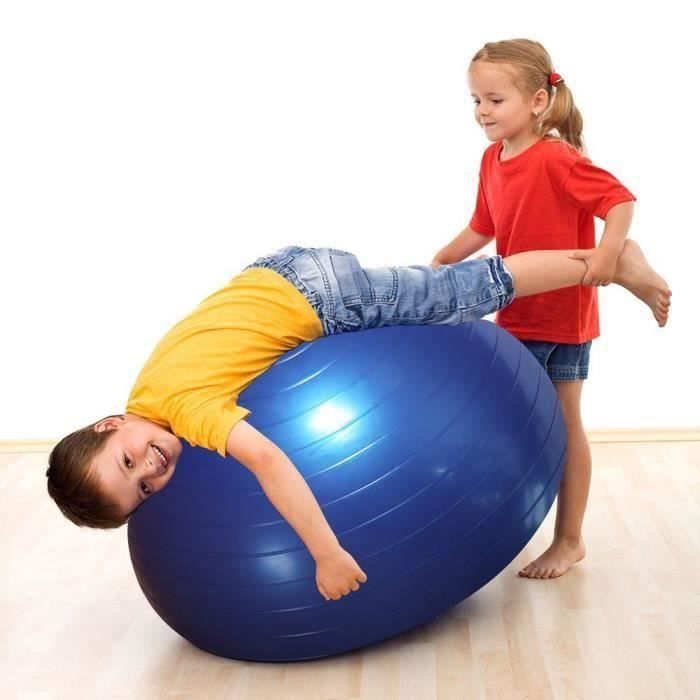 Ballon Suisse de gym 65 cm avec Pompe - Swiss Ball Ballon Fitness