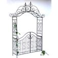 DanDiBo Arche à rose avec porte portail 131872 en métal Portail de jardin  282x160 cm Treillage-0