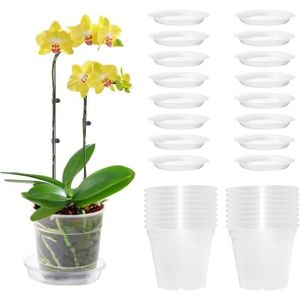 JARDINIÈRE - BAC A FLEUR Pot Transparent Orchidée - 16 Pièces - Plastique - 11,5 cm - Trous de Drainage - Soucoupes