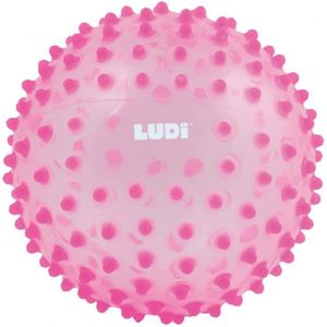 Ludi Balle Sensorielle Rose Pour L Eveil De Bebe Adaptee Aux Enfants Des 6 Mois Gros Picots Tendre Faciles A Mordiller Rose Cdiscount Pret A Porter Ludi Balle Sensorielle Rose Pour L Eveil De Bebe Adaptee Aux Enfants Des 6 Mois Gros Picots Tendre Faciles A Mordiller Rose Cdiscount Pret A Porter