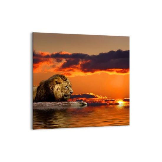 Moderne Impression Sur Verre Lion Animal Nature Image Tableau En