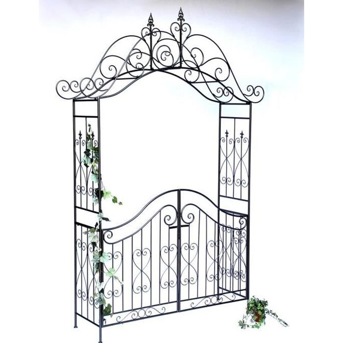 DanDiBo Arche à rose avec porte portail 131872 en métal Portail de jardin 282x160 cm Treillage